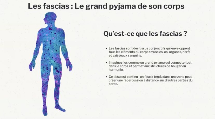 Yoga en ligne