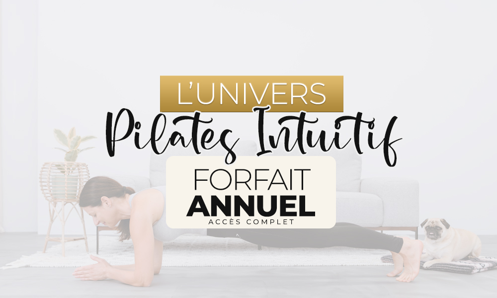 Forfait Univers Intuitif Annuel